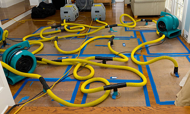 Professional Basement Flood Cleanup technician working in Connecticut, CT